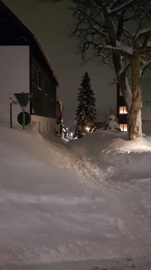 Haus Blach Курорт Обервизенталь Экстерьер фото